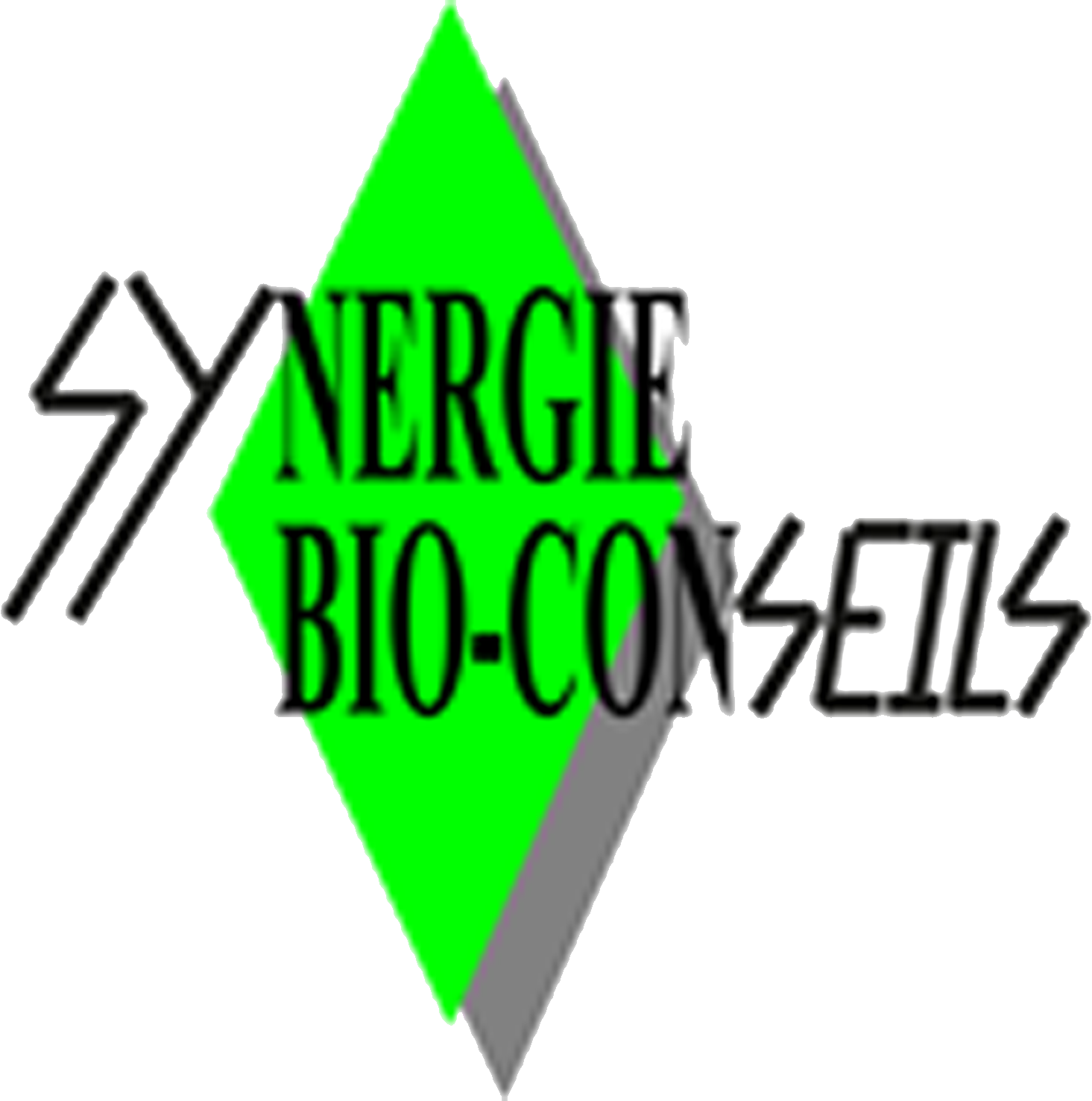 Synergiebioconseils